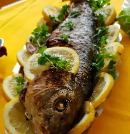 Socep Costinesti